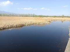 -野鸭湖国家湿地公园