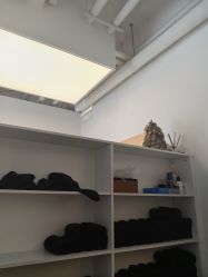 -Hair  Gallery