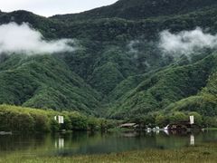 -大九湖