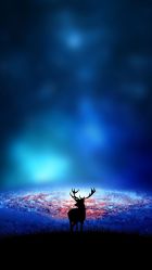 -MARTIN'S BARBER SHOP男士理发馆