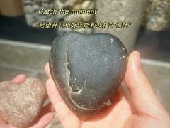 -中国地质博物馆