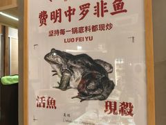 -费明中罗非鱼(大石坝店)