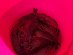 -光头佬钓虾场·烧烤·聚餐·亲子(金沙洲店)