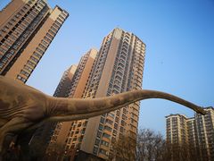 -陕西自然博物馆