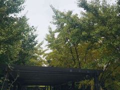 -九龙潭景区