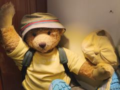 -济州岛泰迪熊博物馆