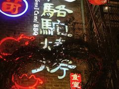 -福苗小骆驼烧烤(莲湖路店)