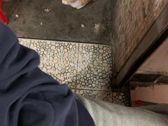 -司马街鸡煲(西华路店)