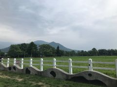 -瑞穗牧场