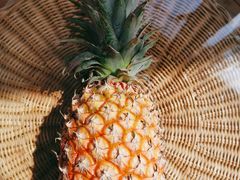 -上海龙吴水胜海发市场