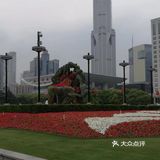 强烈推荐｜上海博物馆一日游打卡攻略
