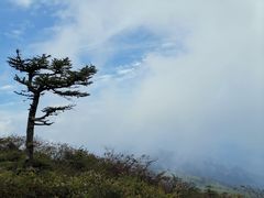 -秦岭风景区
