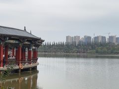 -洛龙公园