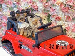 -百好乐宠物友好餐厅(朝外大街店)