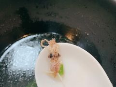 鲜肉小馄饨-白玉兰小吃(新村路店)