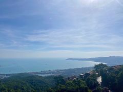 -三亚亚龙湾人间天堂鸟巢度假村