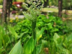 -浙江大学(玉泉校区)