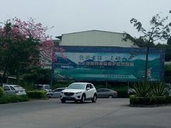 -滴水岩森林公园