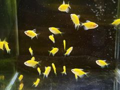 -宠物世家(仲盛世界商城店)