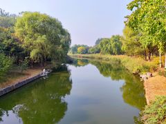 -大兴滨河森林公园