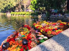 -荔湾湖公园