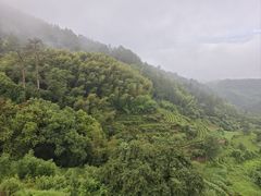 -杨家堂村