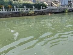 -皇家御河游(紫御湾码头)