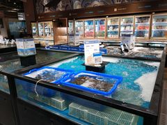 水产区-盒马鲜生(皇庭广场店)