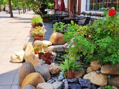 -天正河鲀·河豚亭(大连店)