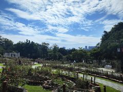 -云溪植物园