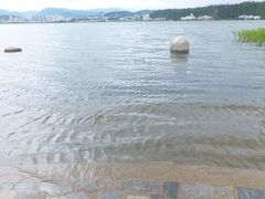 -洱海月湿地公园