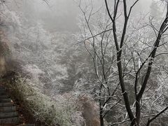 -横岗山森林公园