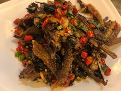 -湖南湘都生态农业园