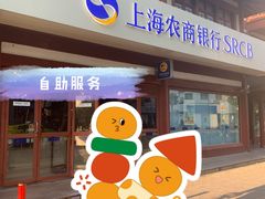 -上海农商银行(南翔支行)