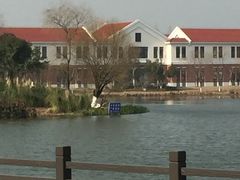 -上海长兴岛郊野公园