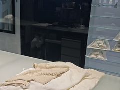 -福奈特洗衣洗鞋(莘谭路店)