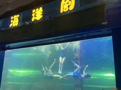 -洛阳龙门海洋馆