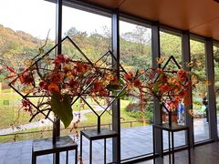 -云溪植物园