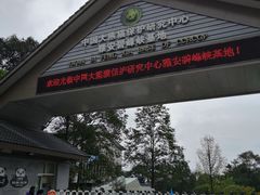 -中国大熊猫保护研究中心雅安碧峰峡基地