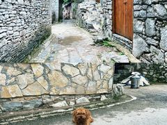 -高荡千年布依古寨旅游景区