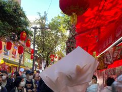 -越秀西湖花市(广州城市广场花卉店)