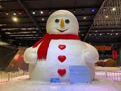 -宁波冰雪大世界(北仑区)