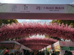 -南汇桃花村