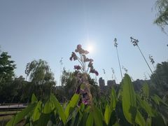 -沐仙湖湿地公园