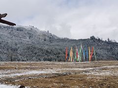 -硗碛藏寨·神木垒景区