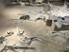 -洛阳周王城天子驾六博物馆