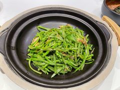 -潇湘府•湘菜领军品牌(望京店)