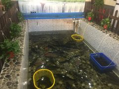 -白洋淀灶台鱼(名佳花园店)