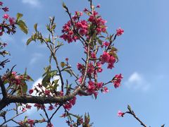 -映月湖公园