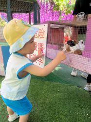 点击看大图 -萌宠亲子动物乐园(槐房万达店)